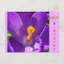 Recherche de crocus anniversaire cartes Pour tous