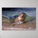 Suche nach frank ozean poster Strand