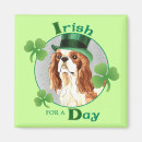 Suche nach st paddy magnete Kleeblatt