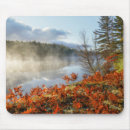 Recherche de jones tapis souris Michigan