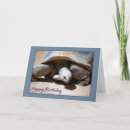 Suche nach tortoise karten Foto