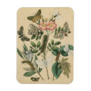 Suche nach bühnen magnete Blume