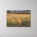 Suche nach kenia leinwandbilder Im freien