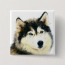 Recherche de husky badges Huskies