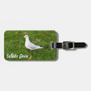 Suche nach taub gepäckanhänger Tier