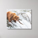 Suche nach braunbär leinwandbilder Tier