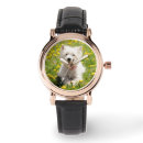Recherche de westie watches Chiot