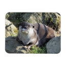 Suche nach niedliche otter magnete Wild lebende tiere