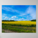 Suche nach canola poster Natur