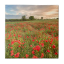 Suche nach mohnblumen blumen fliesen Wildblume