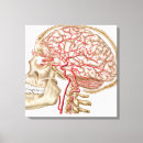 Suche nach menschlicher schädel leinwandbilder Knochen