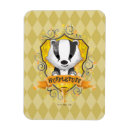 Recherche de harry potter magnets Enfants
