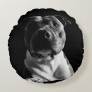 Suche nach pitbull wohnen zuhause Weihnachten