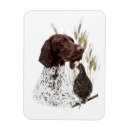 Recherche de pointeurs magnets Gsp