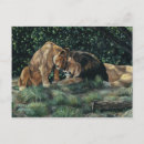 Recherche de lion femelle posters Lions