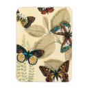 Suche nach insekten magnete Natur