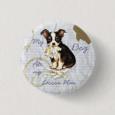 Recherche de chihuahua badges Chiot