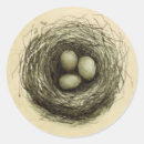 Recherche de birdy autocollants Oiseau