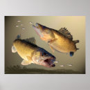 Recherche de brochet posters Pêche