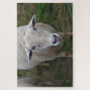Suche nach schaf puzzle Feld