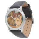 Suche nach corgi uhren Pembrauner weißer korgi