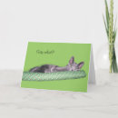 Suche nach überraschte katze karten Graukatze