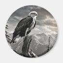 Recherche de encre de dessin magnets Oiseau
