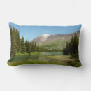 Recherche de ruisseau coussins Montagne