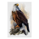 Recherche de dessin d aigle posters Pour tous