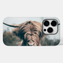 Recherche de de vache coques Bétail