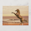 Recherche de nsw cartes postales Plage