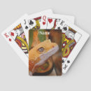 Recherche de reptiles jeux de cartes Mignon