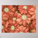 Suche nach vintage sonnenblume poster Botanisch