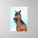 Suche nach der blaue reiter leinwandbilder Tier
