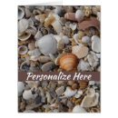 Suche nach florida kleine grußkarten Muscheln