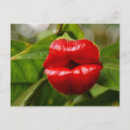 Suche nach exotische schmetterlinge postkarten Blume