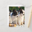 Suche nach papillon postkarten Niedlich