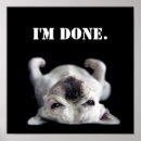 Suche nach kleine hunde poster Babytiere