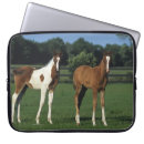 Suche nach fohlen laptop schutzhüllen Araber