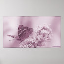 Recherche de buddleia posters Papillon