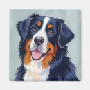 Suche nach berner magnete Haustier