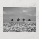 Recherche de champ photographie Voyage