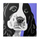 Recherche de cocker carreaux Amoureux des chiens