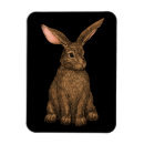 Recherche de réaliste magnets Mignon