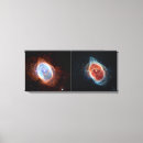 Suche nach evolution leinwandbilder Kosmisch