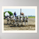 Recherche de riding posters Animal