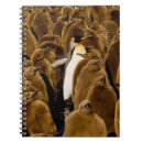 Suche nach jugendlicher kleine notizbücher Vogel