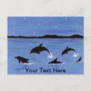 Recherche de cétacé cartes postales Mer