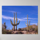 Suche nach kakteen poster Landschaft