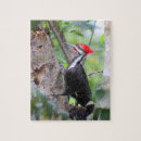 Recherche de pic puzzles Oiseaux